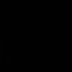 Meet your Posher, Fateh